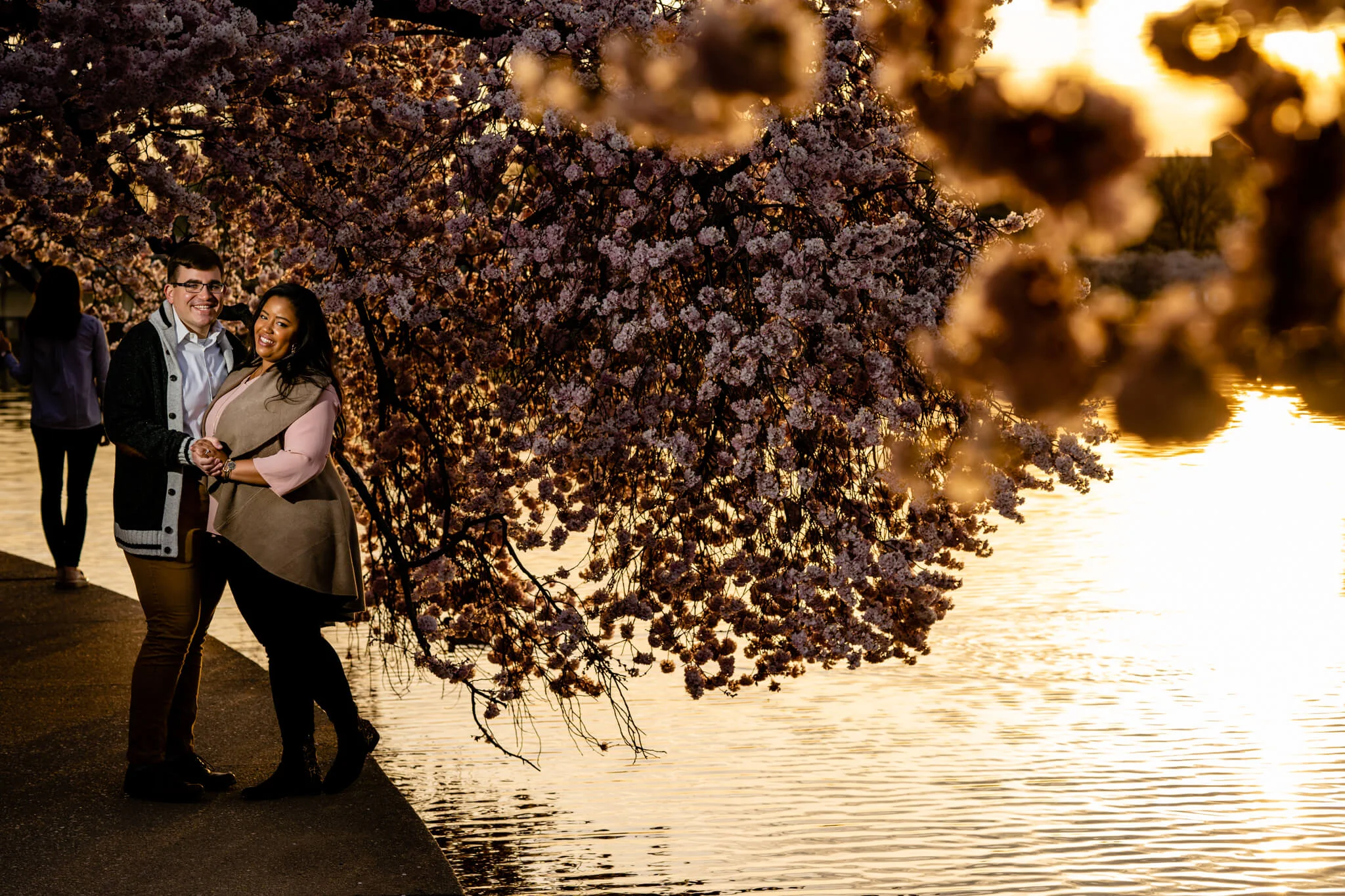 Liz & Joe // Tidal Basin Cherry Blossoms // Washington DC — Bee